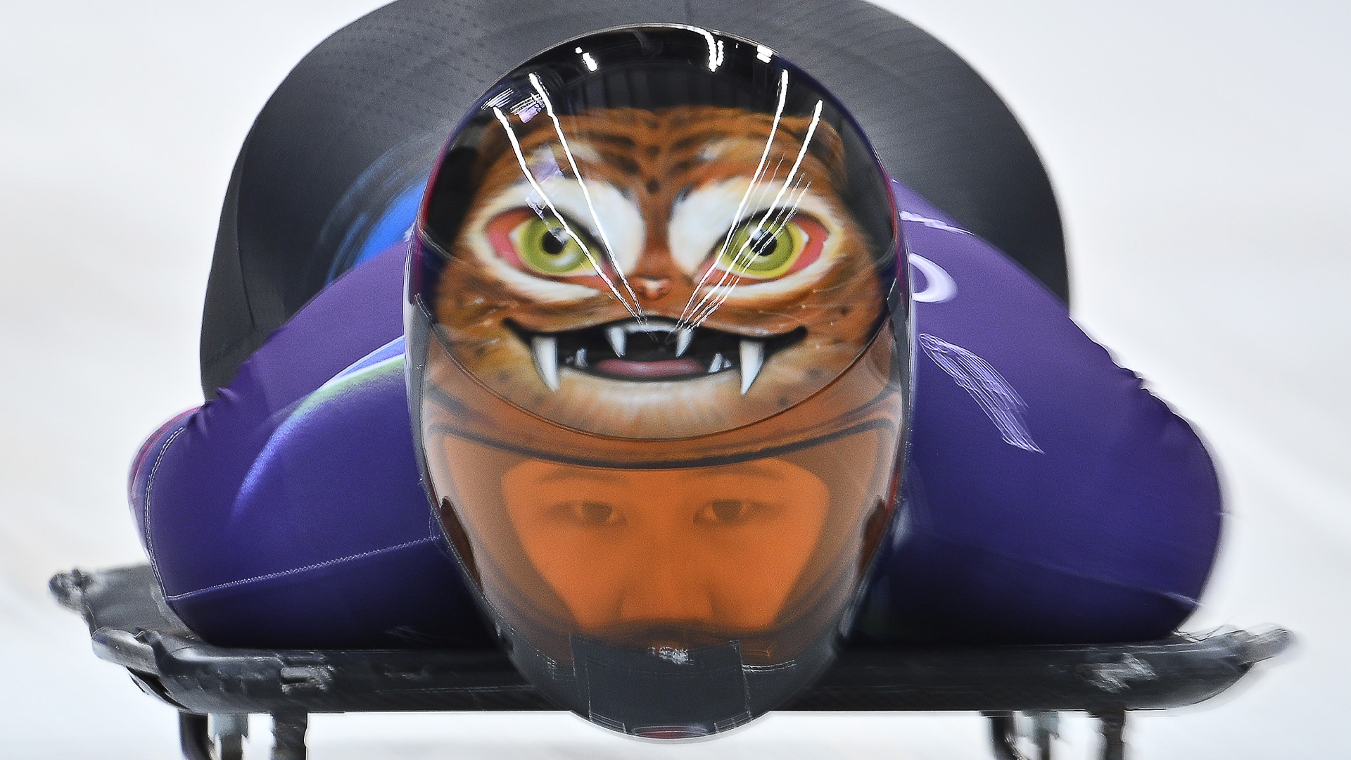 Close-up of Hong Sujong's skeleton cat helmet